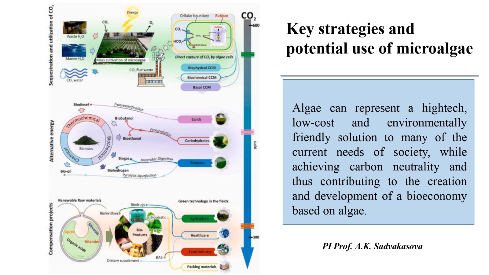 ҚазҰУ биология және биотехнология факультетінің ғылыми-зерттеу және тәжірибелік-конструкторлық жұмыстар (ҒЗТКЖ) арқылы 13 ТДМ (Климаттық іс-қимыл) бағдарламасын жүзеге асыруға қосқан үлесі